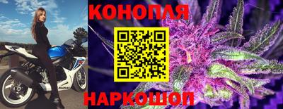 Альфа ПВП Комсомольск-на-Амуре