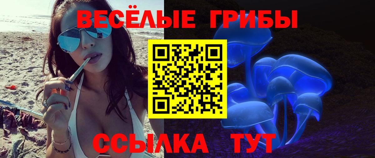 Галлюциногенные грибы Magic Shrooms  Галлюциногенные грибы Cubensis  Вход с VPN  Ярцево 